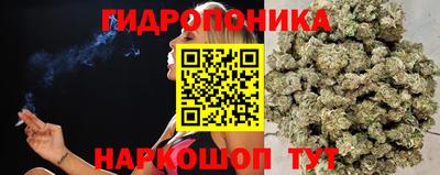 скорость Камышлов