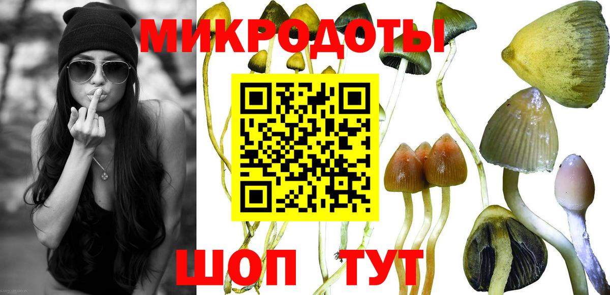 Псилоцибиновые грибы прущие грибы Лосино-Петровский
