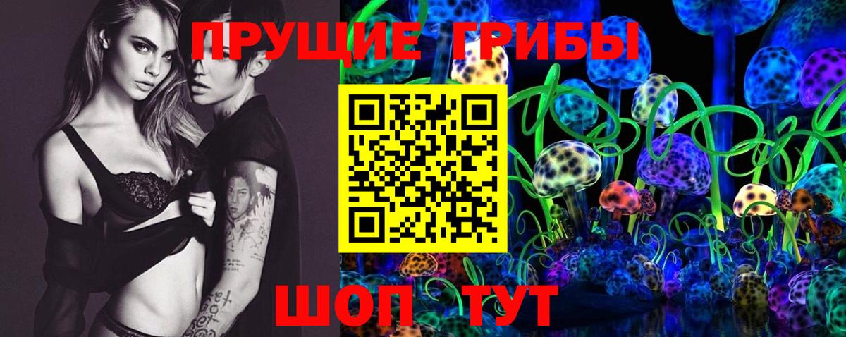 Лосино-Петровский  Галлюциногенные грибы GOLDEN TEACHER  Вход с VPN 